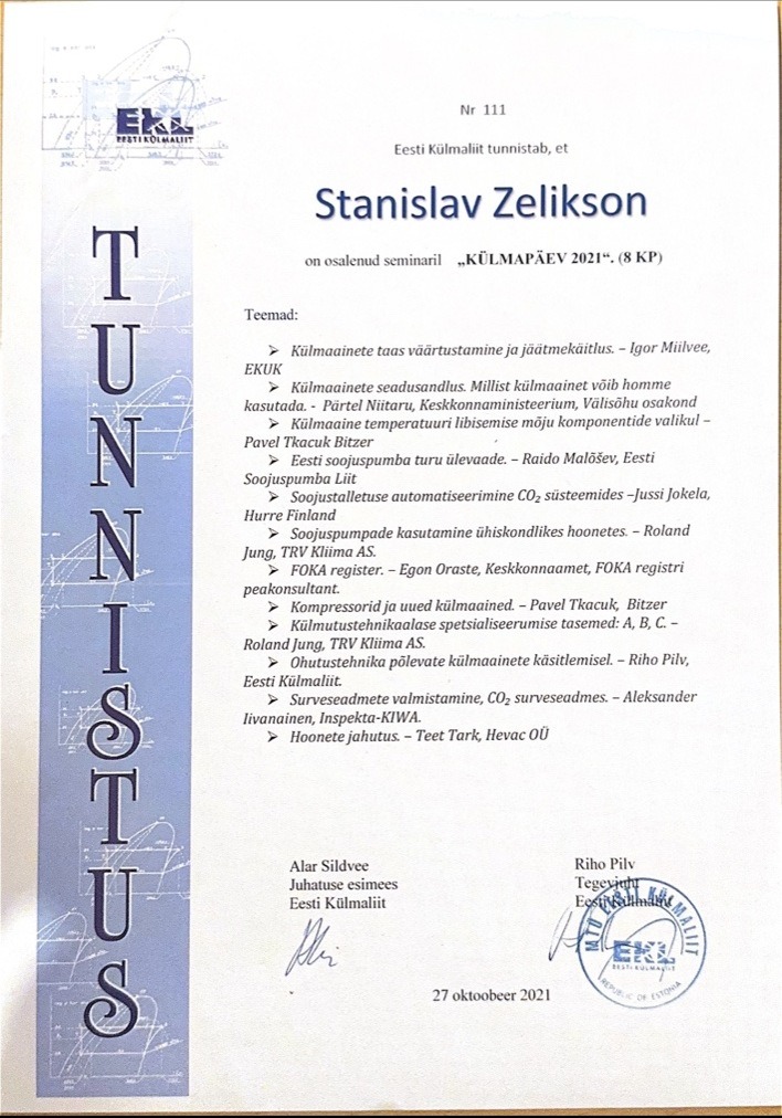 Stanislav Zelikson — Külmapäev 2021